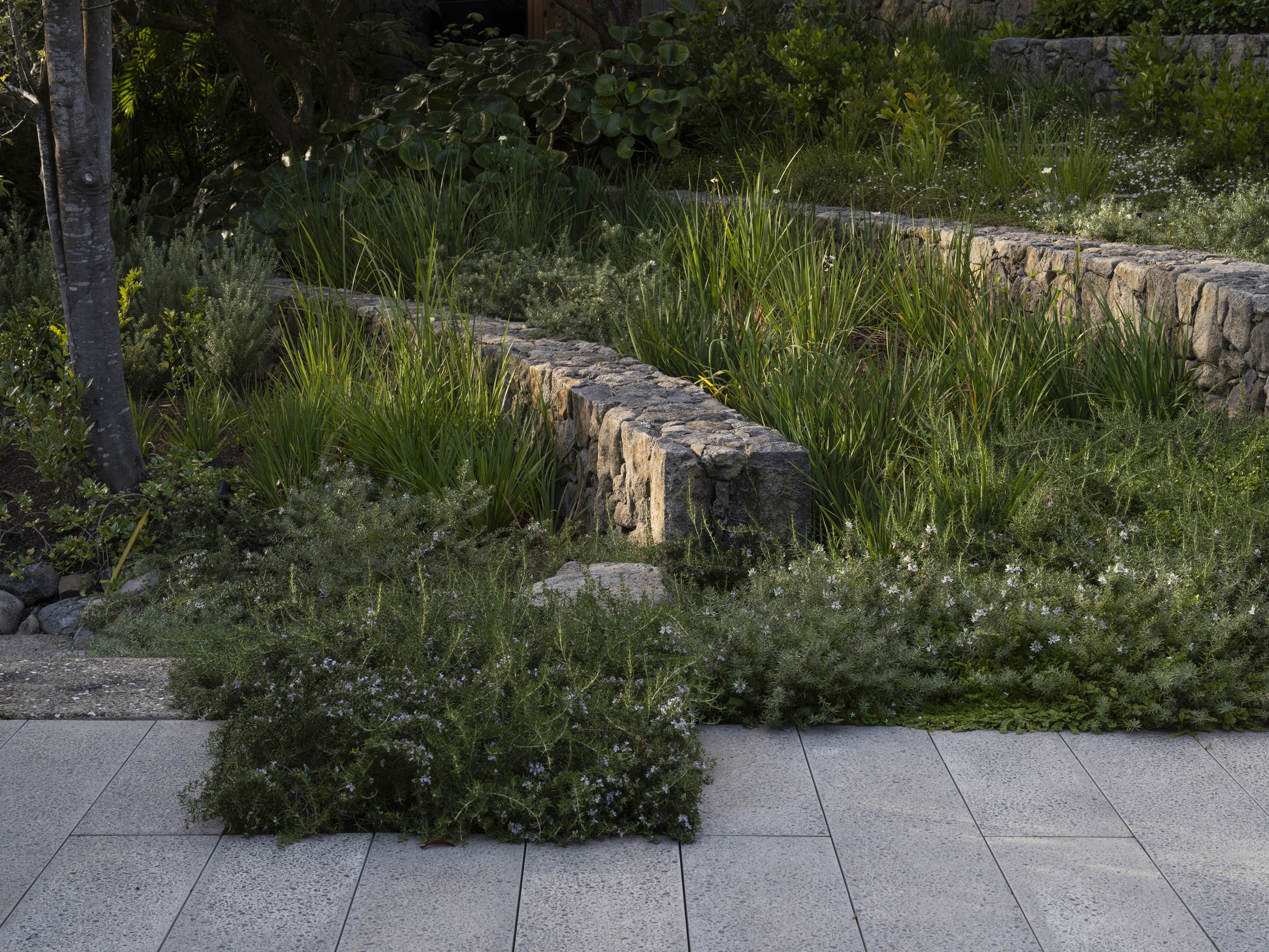 jaredlockhartdesign_DST-JMA-ALBERON-0225-0211