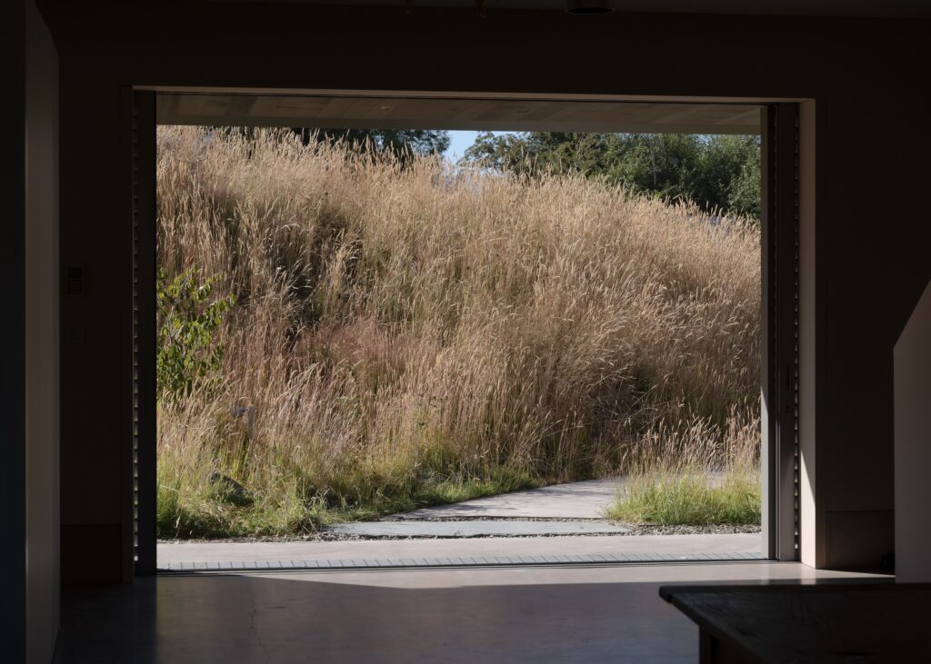 jaredlockhartdesign_Openfield House-January 2025-Biddi Rowley-7402