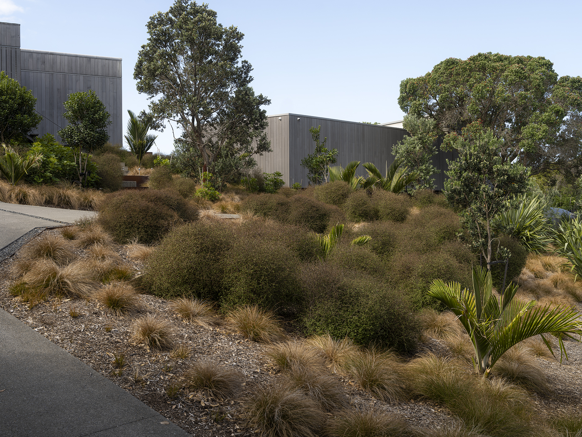 JAREDLOCKHARTDESIGN_DST-JLD-WAIHEKE-0125-7523