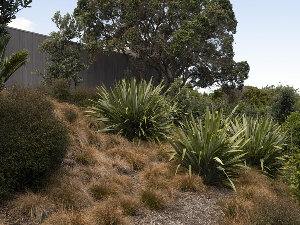 JAREDLOCKHARTDESIGN_DST-JLD-WAIHEKE-0125-7597