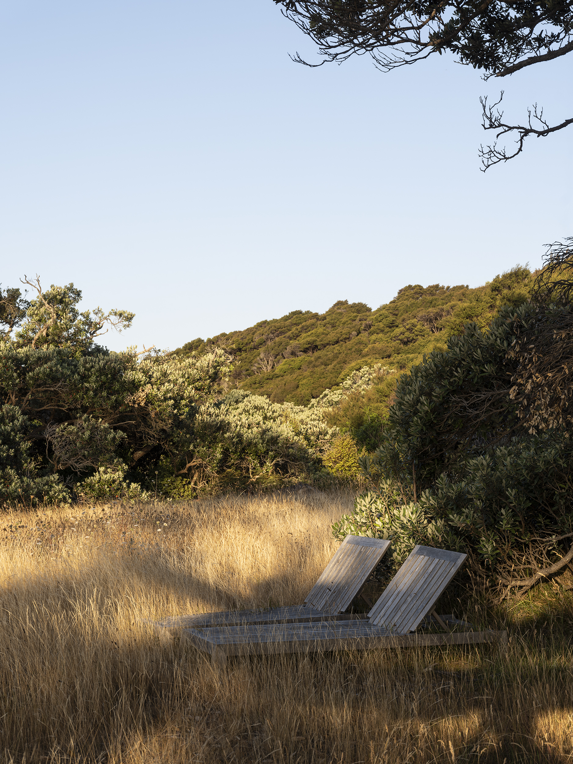 JAREDLOCKHARTDESIGN_DST-JLD-WAIHEKE-0125-7783