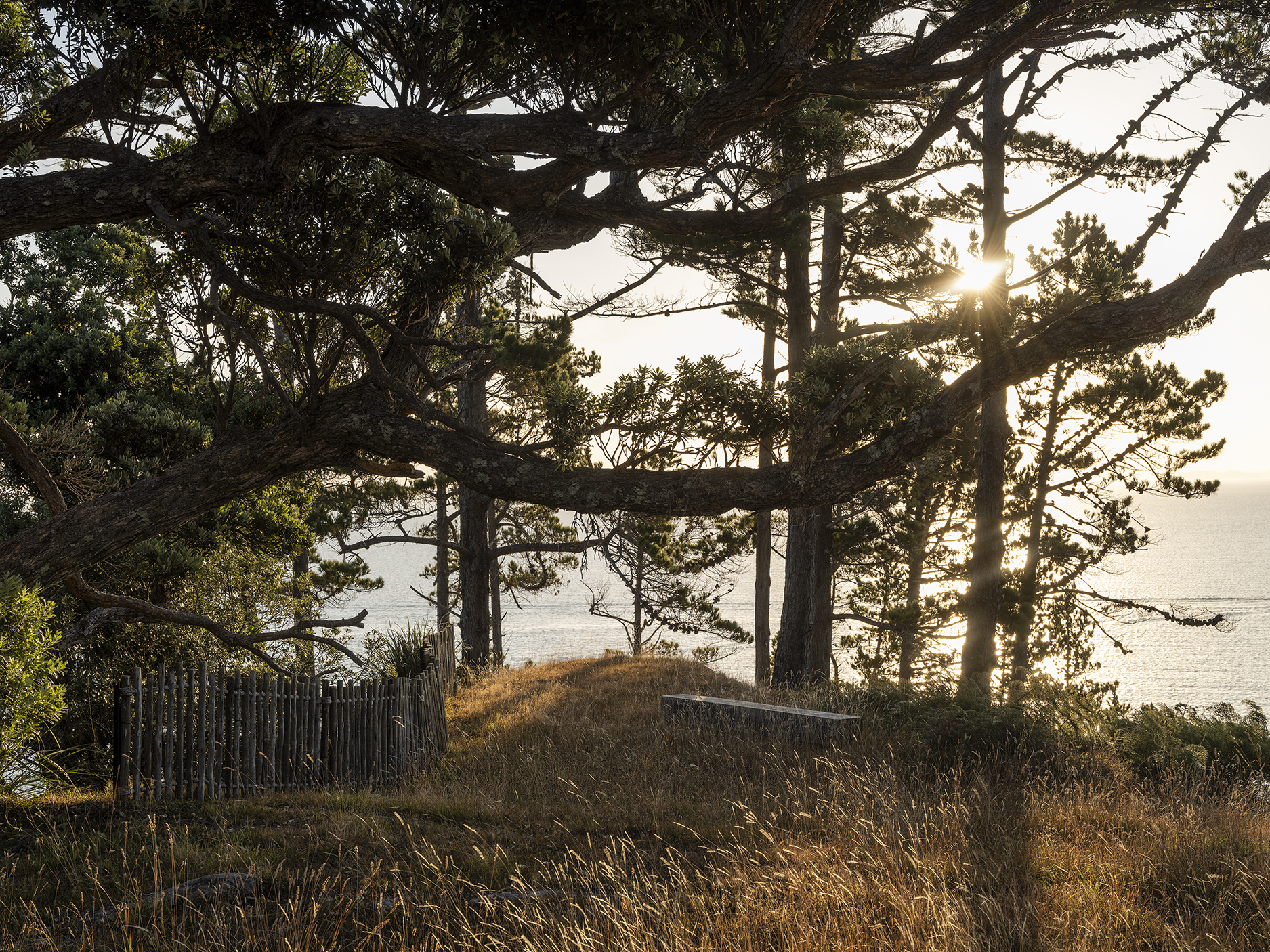 JAREDLOCKHARTDESIGN_DST-JLD-WAIHEKE-0125-7842