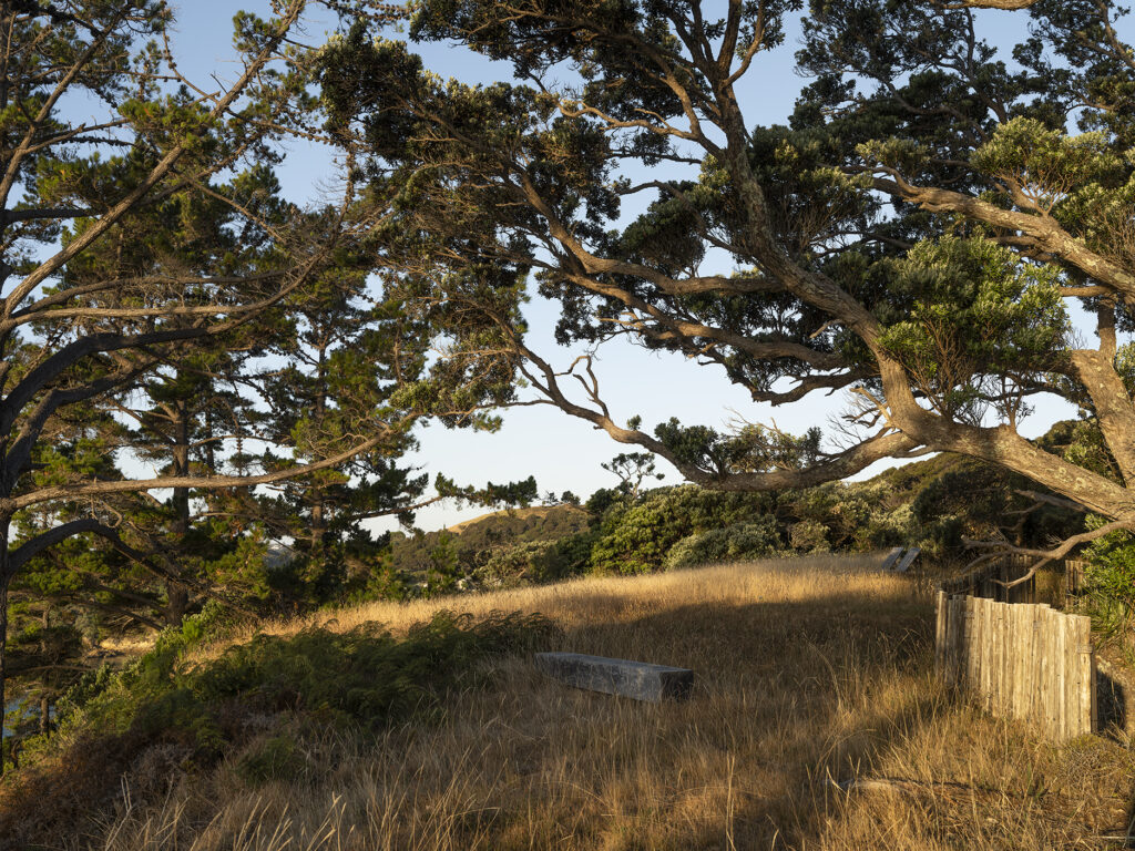 JAREDLOCKHARTDESIGN_DST-JLD-WAIHEKE-0125-7849