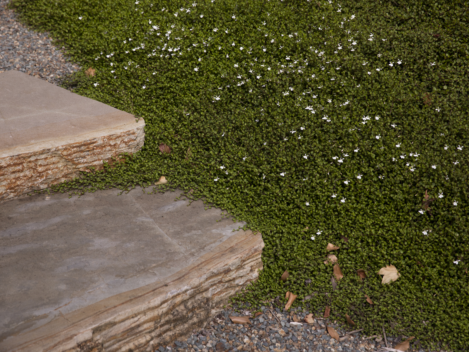 JAREDLOCKHARTDESIGN_DST-KATIESTUDIO-1221-2714