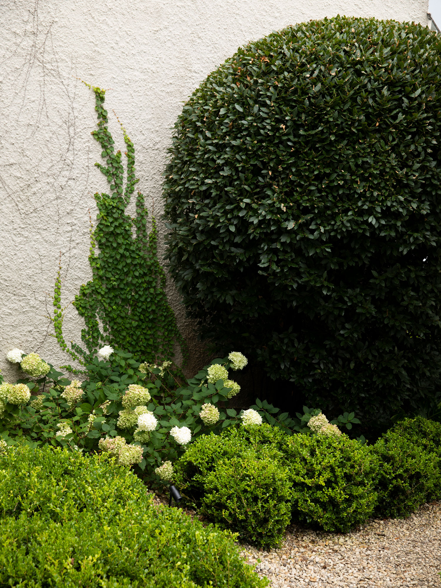 JAREDLOCKHARTDESIGN_DST-SELBYSQ-0321-8835