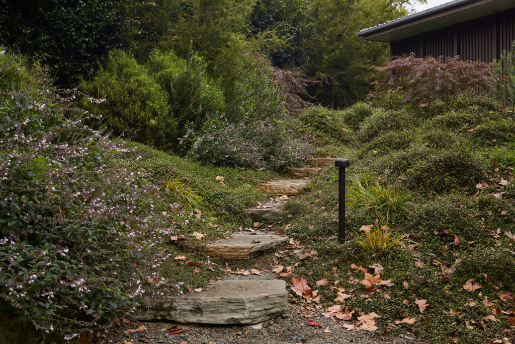 Jaredlockhartdesign_NWoo_KatiesAutumn_18May2023_-178_web