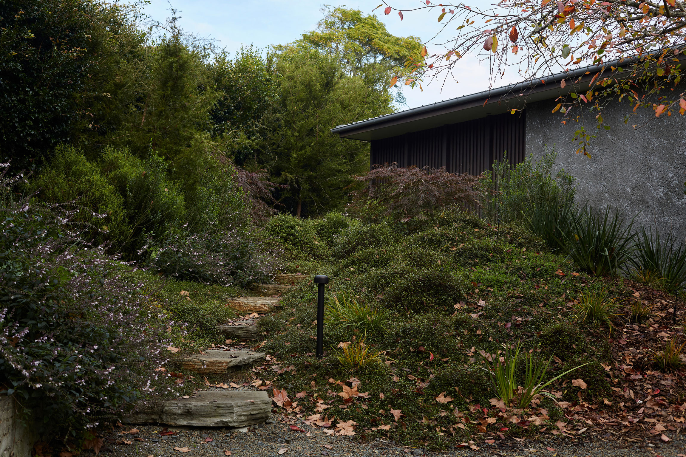 Jaredlockhartdesign_NWoo_KatiesAutumn_18May2023_-18_web