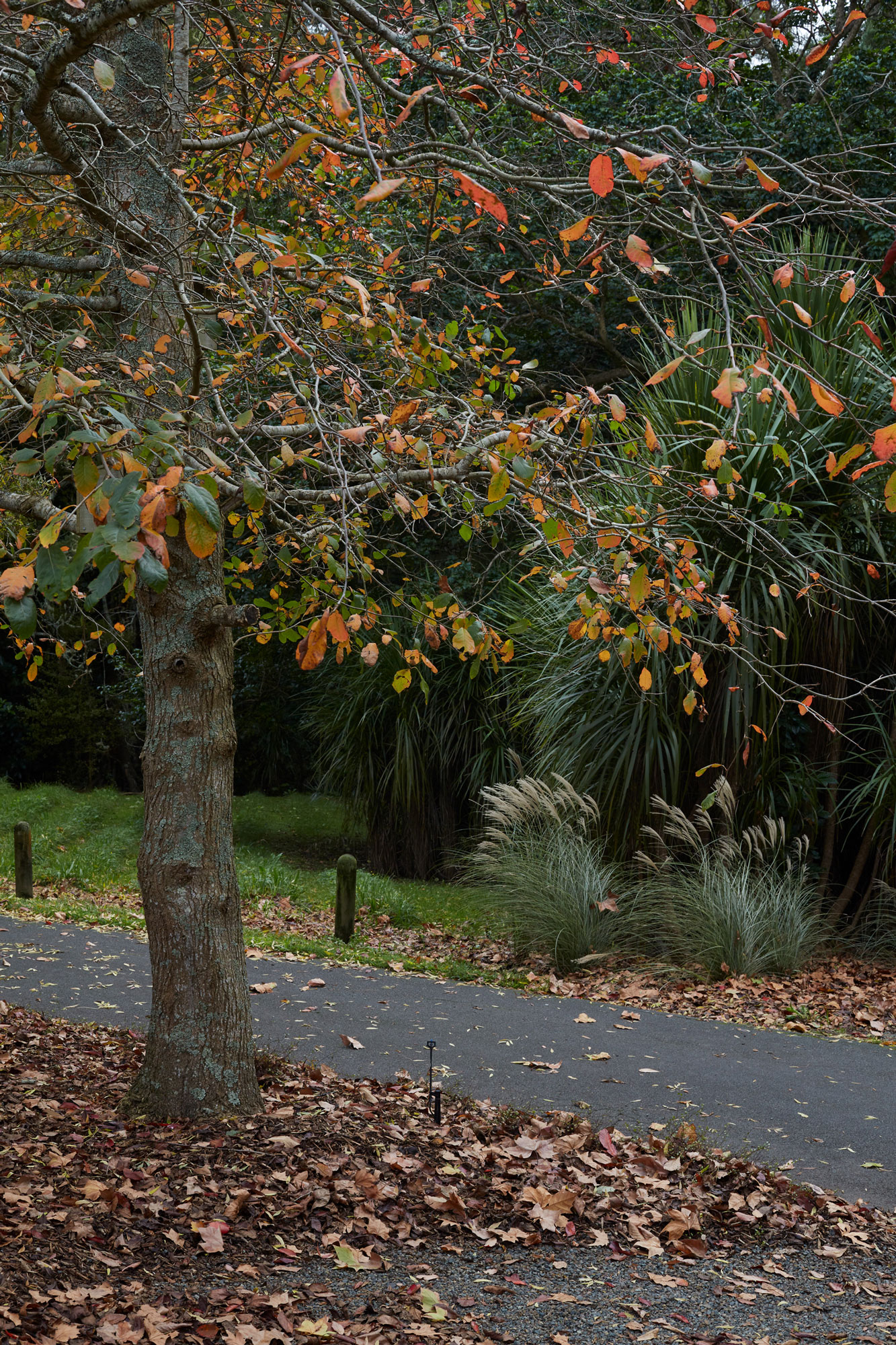 Jaredlockhartdesign_NWoo_KatiesAutumn_18May2023_-196_web