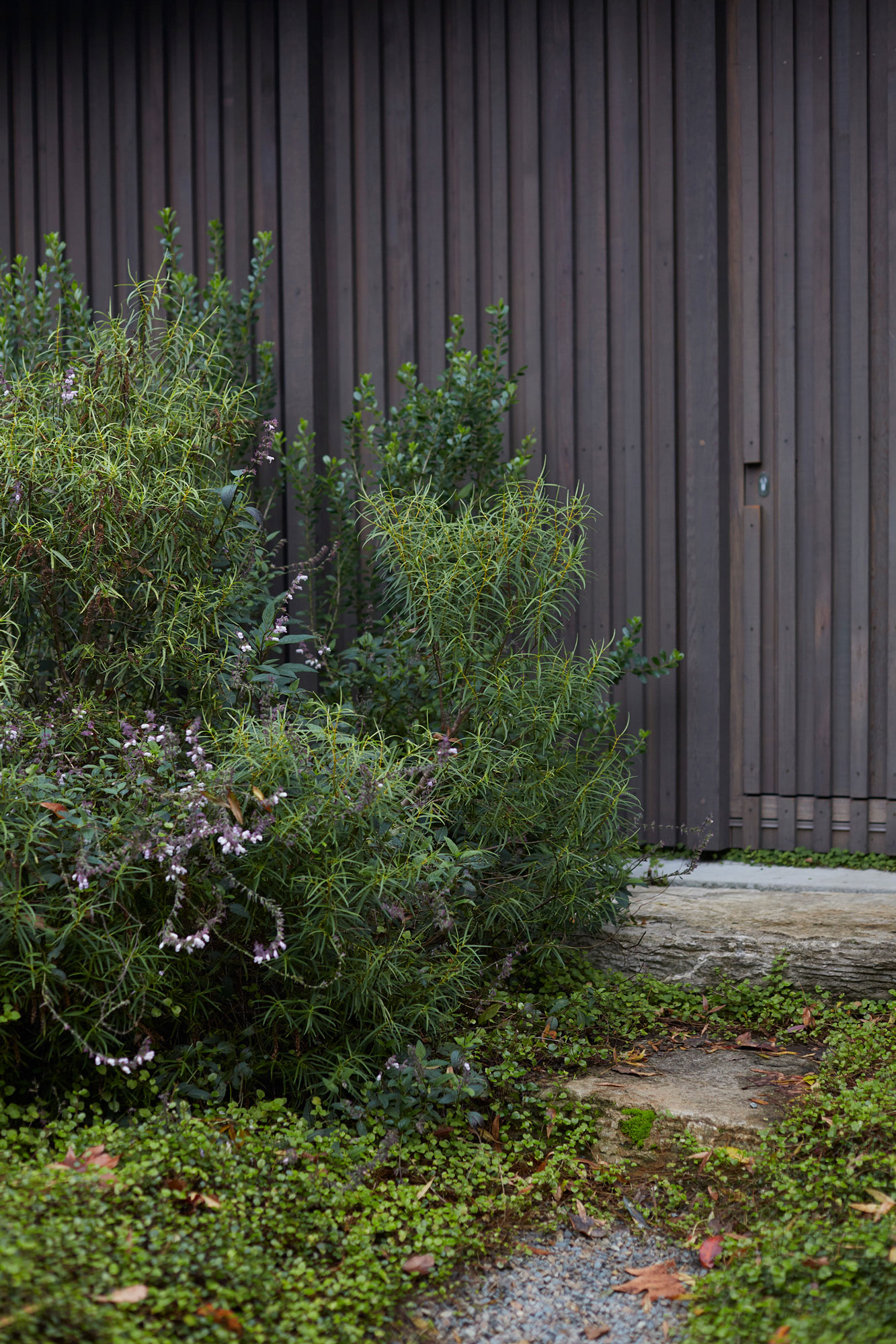 Jaredlockhartdesign_NWoo_KatiesAutumn_18May2023_-223_web