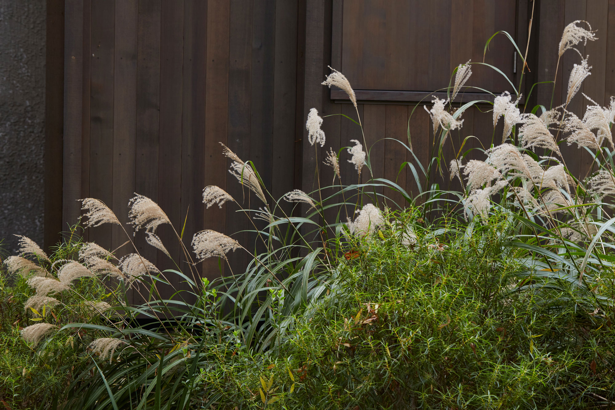Jaredlockhartdesign_NWoo_KatiesAutumn_18May2023_-313_web