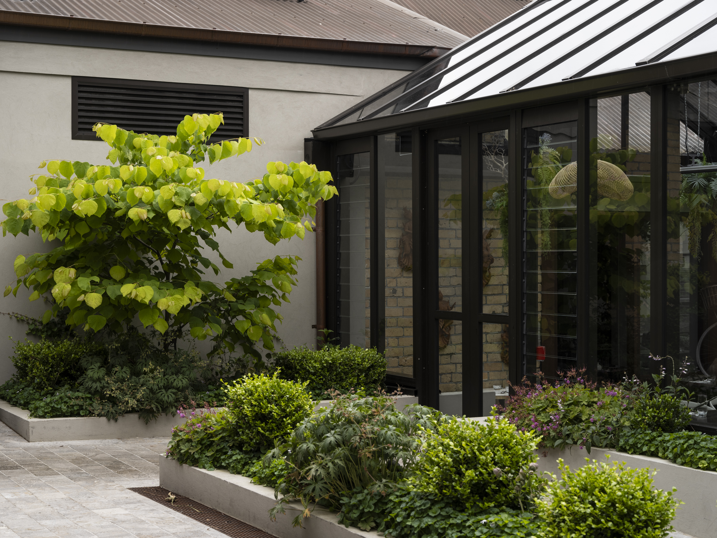 A planting scheme for 1050, a boutique urban enclave in the heart of Remuera Village by Jared Lockhart Design.