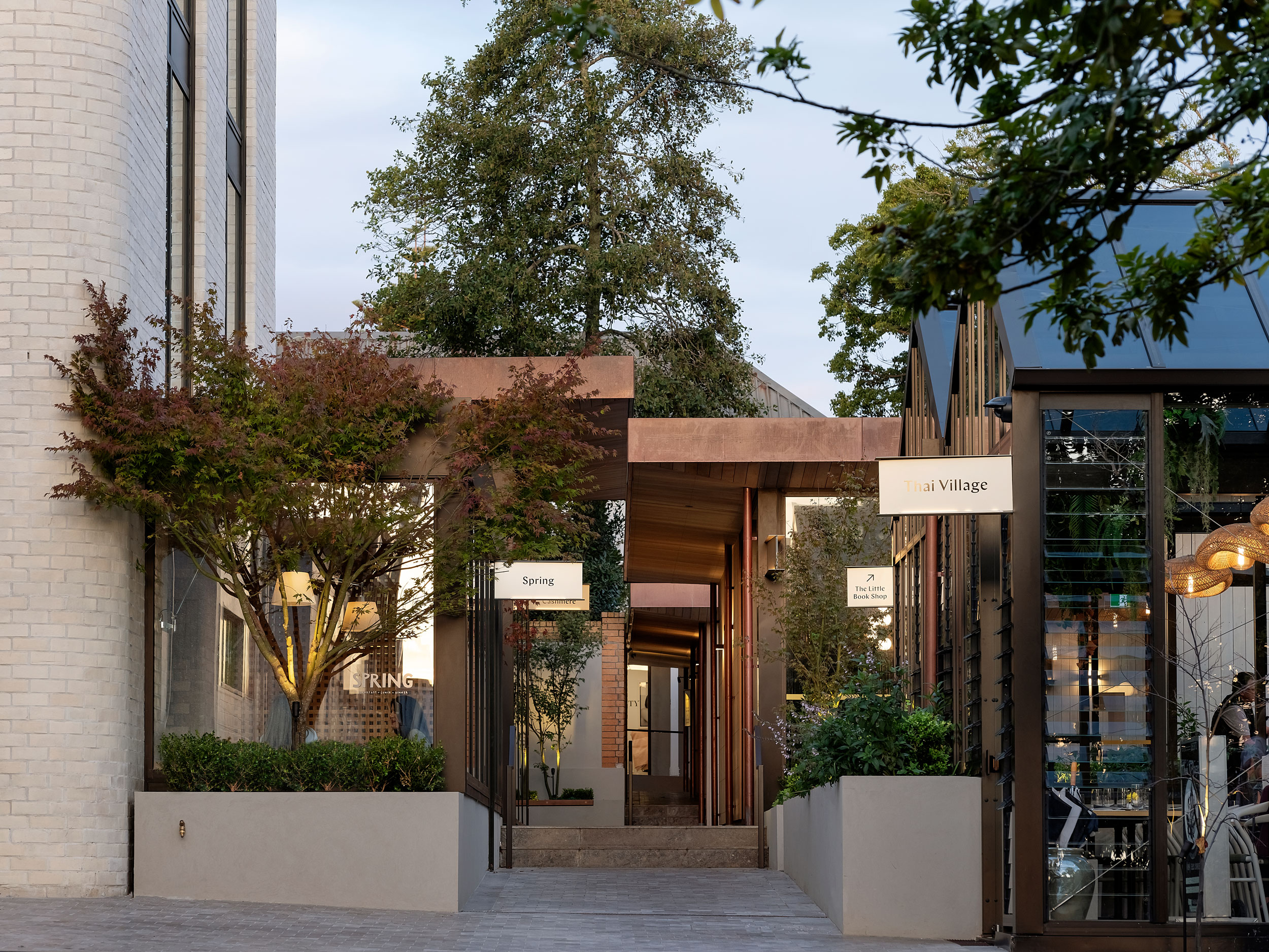 A planting scheme for 1050, a boutique urban enclave in the heart of Remuera Village by Jared Lockhart Design.